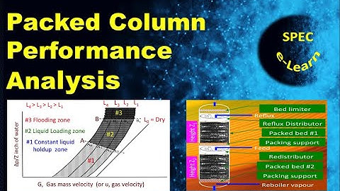 Packed Column Performance Analysis