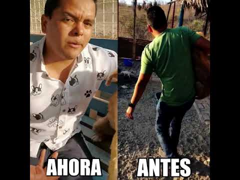 Ahora mismo lo ves y no lo vas a reconocer