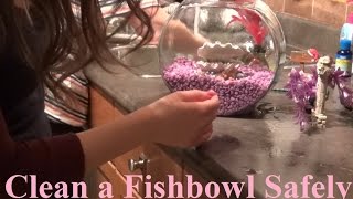 How to Clean a Fishbowl Safely & Quick