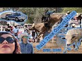 Vlogging our trip to a bull team competition