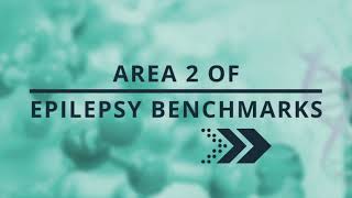 Epilepsy Research Benchmarks + Transformative Research Priorities: Area II