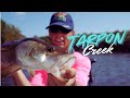 Crazy backcountry everglades action snook tarpon trout