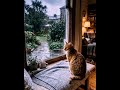 When Rain Meets Comfort”“Silent Rain, Warm Heart”