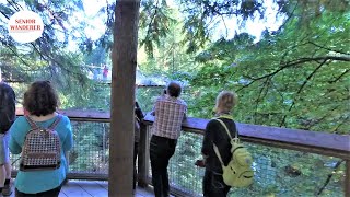 Vancouver street walk, EP 55 - Cross all bridges in Capilano Suspension Bridge Park, North Vancouver
