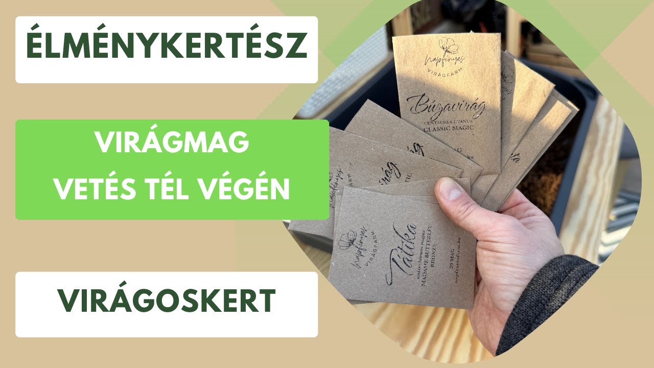 Februári virágmagvetés titkai - amit tudnod kell a korai kezdéshez!🌸