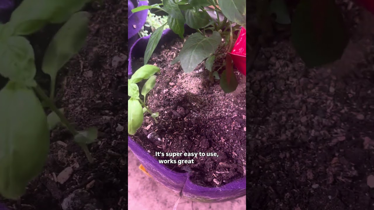 Uploads from From Seed to Spoon Garden Planning App