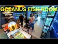 LA LUJOSA TIENDA DE PECES QUE TIENE TODO A BAJO COSTO: OCEANUS FISH ROOM