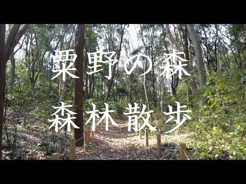 粟野地区公園(粟野の森)散歩 千葉県鎌ケ谷市