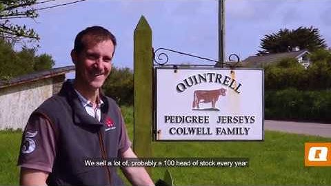 The Quicke Q-companion user experiences (ENG subtitles)