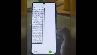 Al Quran Free - القرآن الكريم screenshot 5