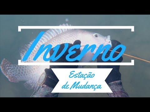PESCA SUB -
