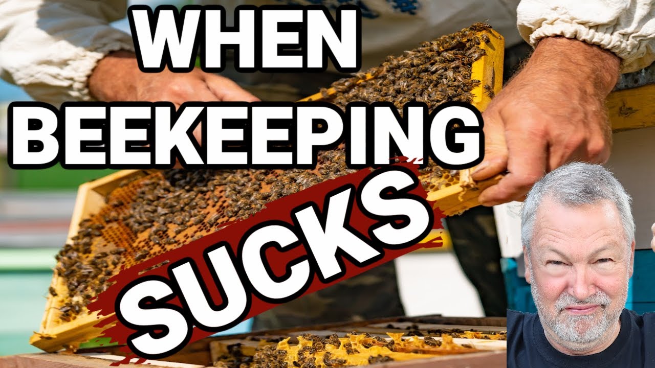 Beekeeping | What To Do When Beekeeping Has You Down - YouTube