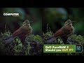 DxO PureRAW 3 -- Should You Buy It?