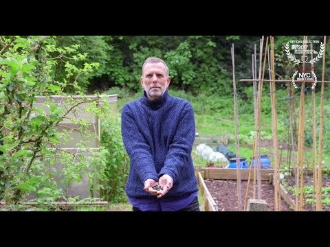 Allan, Londoner #226, deals with life through gardening