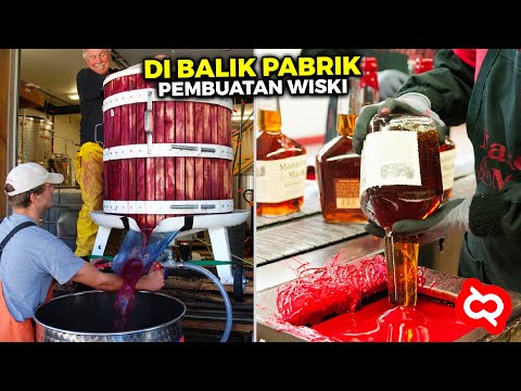 Video: Apakah bir sigung menghilangkan alkohol?