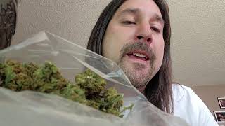 Dan's 420 Chronicles - New 420 Bloopers / Outtakes 4/30/21
