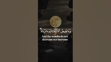 سورة الرعد آيات تلامس القلوب وتبعث السكينة | Surah Ar-Ra'd Heart-touching Verses and Tranquil Recq