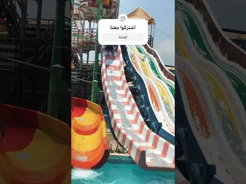 بس انا مش فضلكم إحنا   معكم منى الشاذلي   ابلور   ترند