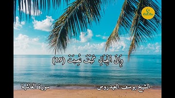 سورة الغاشية الشيخ يوسف العيدروس