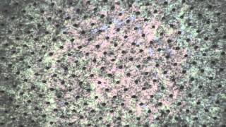 College Dorm Room Advice and Tips: The Importance of Rugs In Your Dorm Room