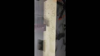 Clockwork Renaissance - Laser Gear Cutting Test