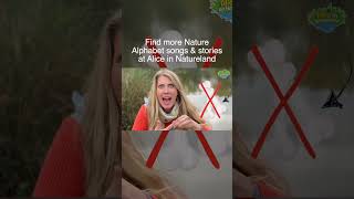 Brilliant Bugs from the Nature Alphabet #toddlerlearningvideos #learnaboutanimals #songsaboutnature
