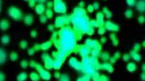 Swifft Particle Editor