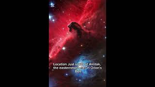 Unveiling the Mysteries of the Horsehead Nebula #HorseheadNebula #Space #Astronomy #Cosmos #Shorts