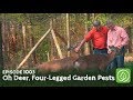 Growing a Greener World Episode 1003: Oh Deer, Dealing with Four-Legged Garden Pests