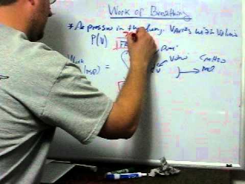 Work of Breathing (Calculus)