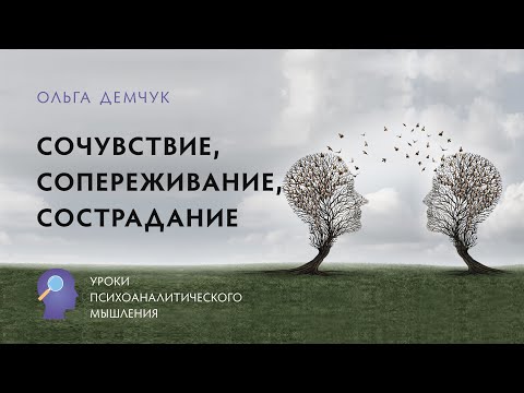 Видео: Что значит сочувствовать?