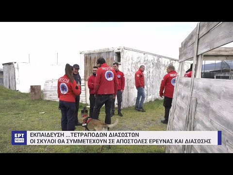 Θεσσαλονίκη: Εκπαίδευση τετράποδων