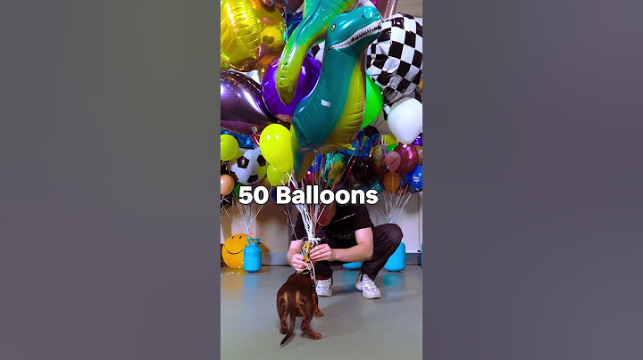 How many balloons does it take to make my dog fly? #shorts