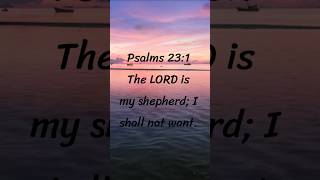 Psalms 23:1 #scripture #shorts