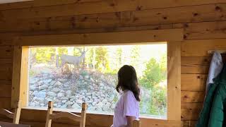 IMG 7693