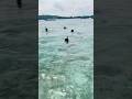 Lihat tamunya lagi snorkeling di sampingku
