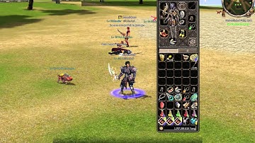 Metin2 Global send hacker prins in actiune :))