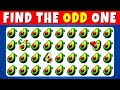 Find the ODD One Out | Easy → Medium → Hard | Avocado Edition 🥑🔥 | Quiz Know Mp3 Song