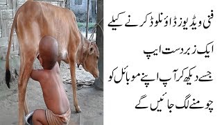funny-s-2018-how-to-download-latest-funny-s-in-hindi-urdu