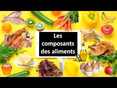 Les composants des aliments -3 AC - YouTube