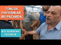 KURBAN PAZARI- 3 | Pendik Kurna Köy | 2021 Kurban Fiyatları | Kurbanlık Düve | İstanbul Sokakları TV