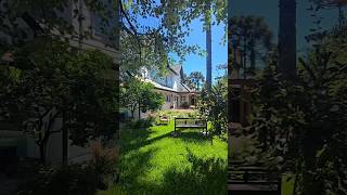 wow beautiful home garden 🏡🌿 #garden #viralshorts #youtubeshorts #ytshorts #shorts