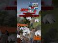 Нашествие летающих юзеров в MadOut2! #madout2 #мадаут2 #игры