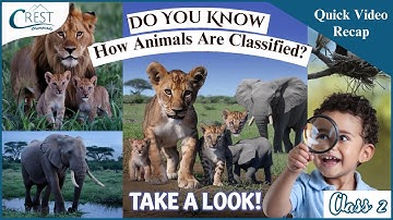 Classification of Animals for Kids | Class 2 Science Olympiad Prep | CREST Olympiad