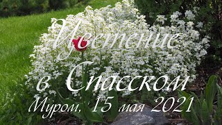 Цветение в Спасском, Муром, 15 мая 2021, Bloom in the Spassky Monastery, Murom, May 15, 2021