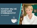 ПОЧЕМУ МЫ НЕ ЗАМЕЧАЕМ ОЧЕВИДНОГО?