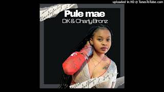Pule Mae  Dk  Charly  Bronz  Solo Vibez 2022