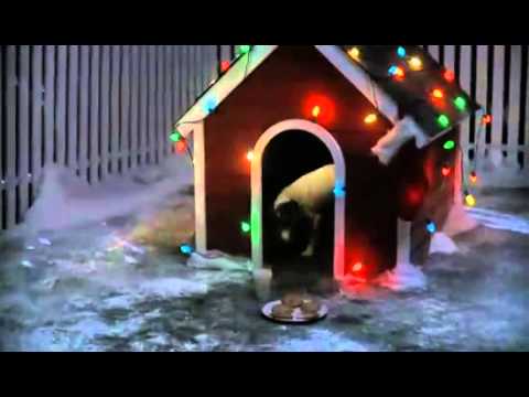 Dog wishes for christmas