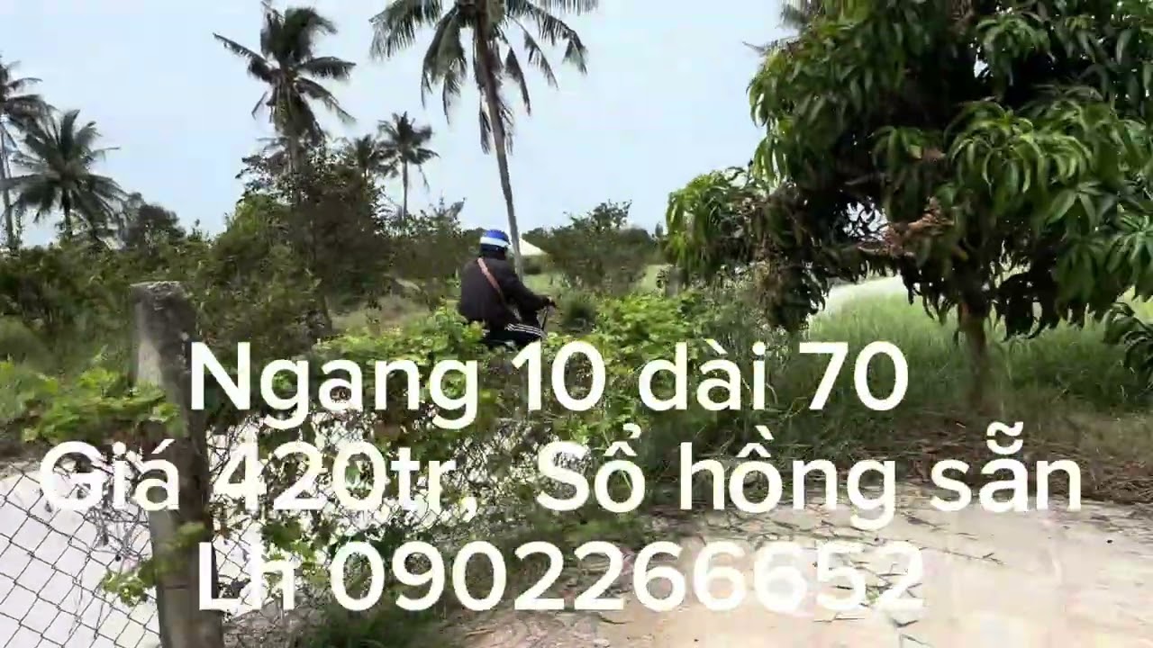 ngày 25 tháng 2, 2026