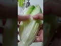 #asmr #short #trending#watering #cabbage#trendingshorts